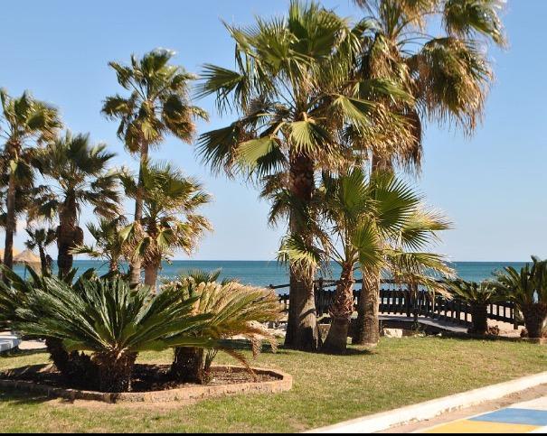 Perla Del Sol 1 L Apartment Torremolinos Exterior photo